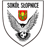 logo sokoła